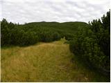 Planina Ravne - Kapelica na Molički planini